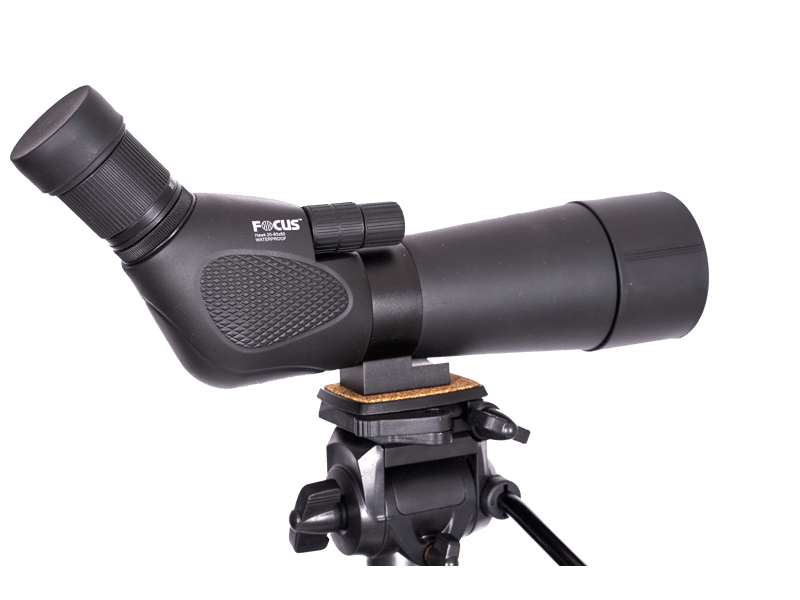 Focus Hawk 20-60x60 + Jalusta 3950